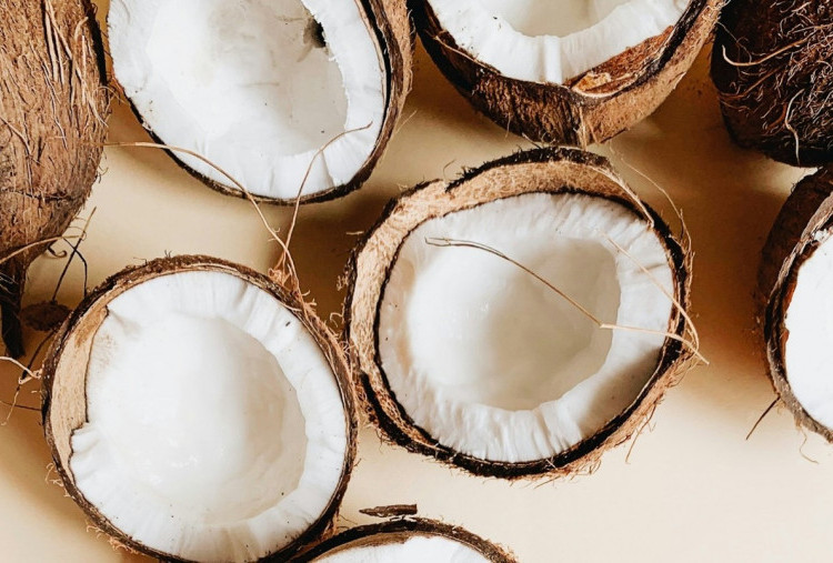 5 Dessert Kelapa yang Lezat dan Mudah Dibuat di Rumah