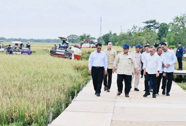 Prabowo Klaim Indonesia Swasembada Beras, Produksi sudah Penuhi Kebutuhan Nasional