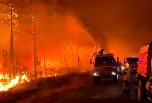 Kebakaran Hebat Lalap Hutan Prancis, Ribuan Penduduk Dievakuasi
