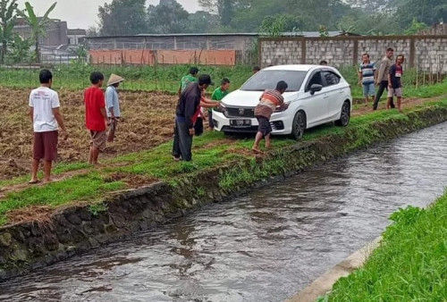 Aya-Aya Wae! Mobil Terjebak di Tengah Sawah, Begini Kronologinya...