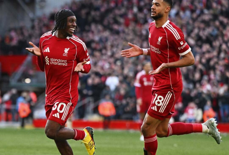 Prediksi Skor Wolves vs Liverpool: Update Kondisi, Head to Head, dan Perkiraan Line Up