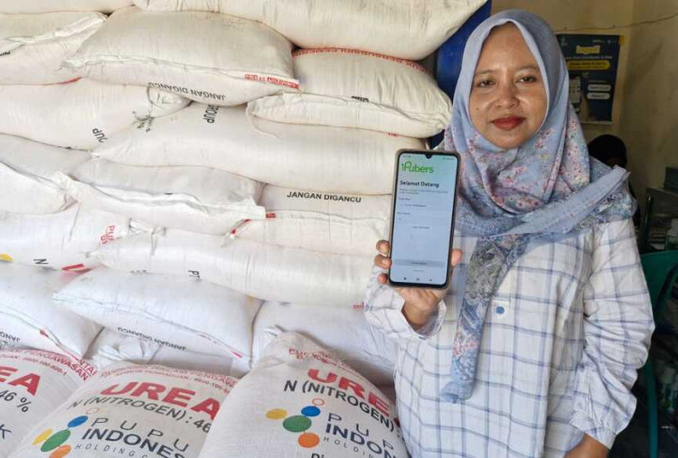 Stok Pupuk Subsidi Aman, Panen Petani Cilacap Tembus 10 Ton per Hektar