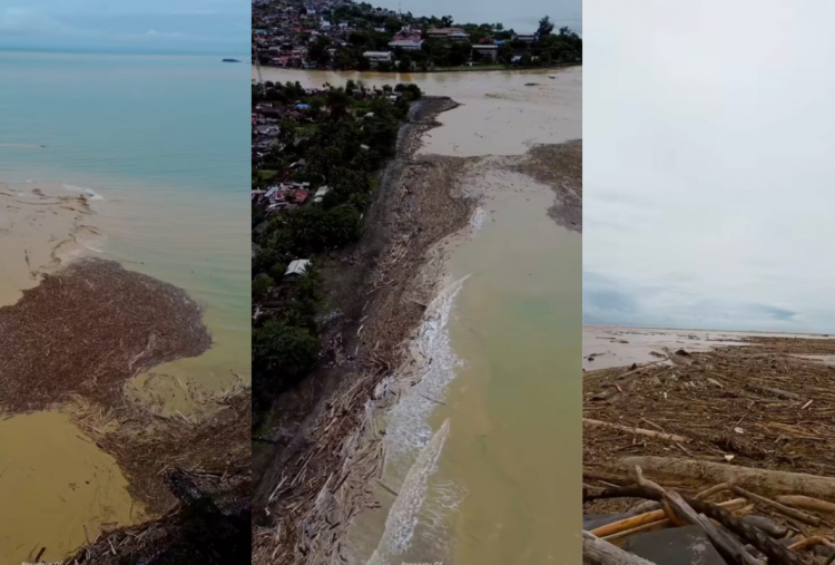 Penampakan Kayu Gelondongan Terbawa Banjir di Sumbar Kini Penuhi Pantai Parkit, Warganet: Barang Bukti Keluar Atas Izin Allah...