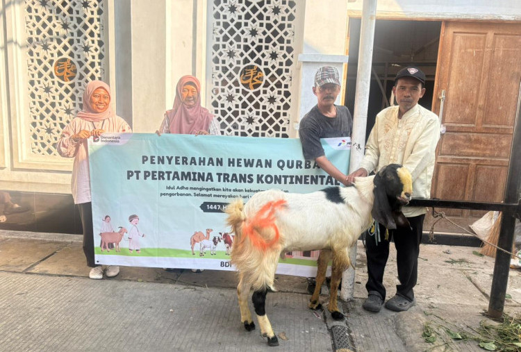 Iduladha 2026, Pertamina Trans Kontinental Jaga Distribusi Energi dan Salurkan Hewan Kurban