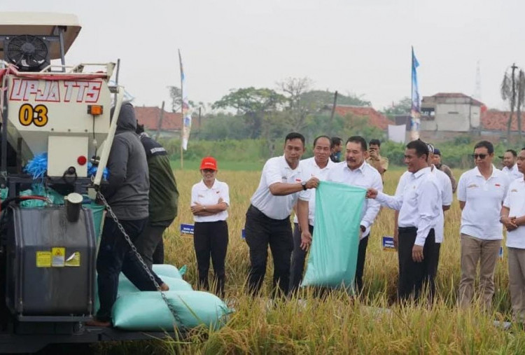 Manfaatkan Lahan Sitaan Kejagung untuk Program Mandiri Pangan