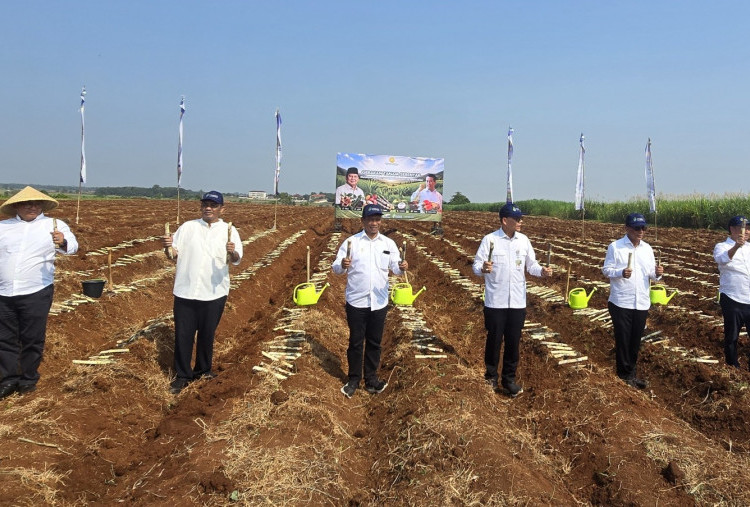 PT SGN Dukung Hilirisasi Perkebunan Nasional melalui Gerakan Tanam Serentak