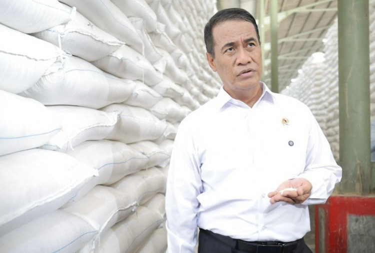 Produksi Beras Nasional Januari-Agustus 2026 Diproyeksikan Naik Jadi 25,28 Juta Ton
