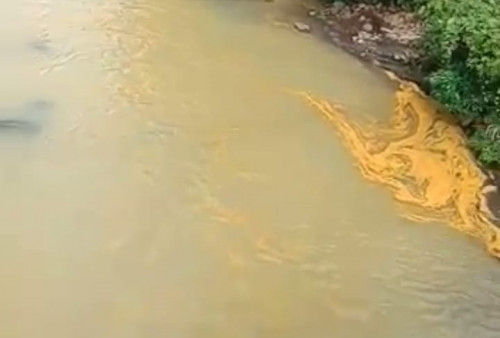 Sungai Bintunan Diduga Tercemar Limbah dari Perusahaan 