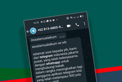 Ini Nomor Kontak yang Diduga Penipu Mengatasnamakan dari Telegram Indonesia 