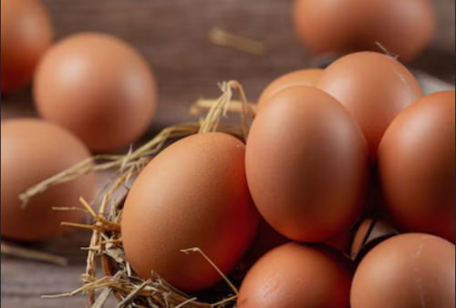 5 Cara Mengetahui Telur Ayam Rusak Atau Busuk 
