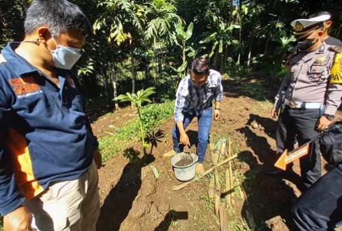 Heboh, Dua Granat Nanas Ditemukan Warga Purbaratu, Kota Tasikmalaya saat Panen Porang di Kebun