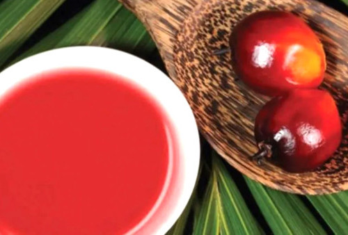 Minyak Makan Merah Disinggung DPR RI Seiring Kenaikan CPO, Bisa Dijual Dengan Harga Lebih Murah dan Anti Stunting