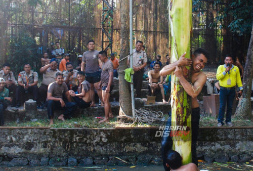 Peserta lomba mengikuti perlombaan panjat pisang setinggi 10 meter dari dasar sungai di Kebun Binatang Surabaya, Jawa Timur, Sabtu, 26 Agustus 2023. Acara Panjat Pisang yang diikuti sejumlah karyawan KBS tersebut berlangsung dalam rangka memeriahkan HUT ke-78 Kemerdekaan RI dan menyambut hari jadi Kebun Binatang (KBS) yang ke 107. (Muchamad Ma'ruf Zaky/Harian Disway)