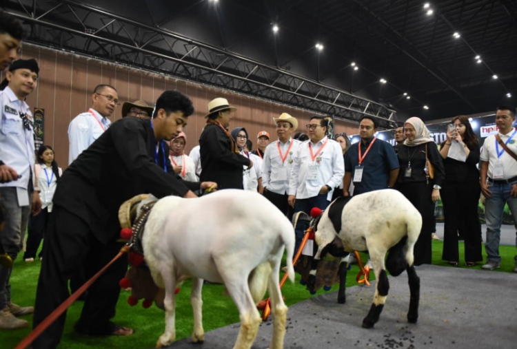 Industri Peternakan RI Jadi Sorotan Dunia, 600 Peserta dari 30 Negara Hadir di Indo Livestock 2026