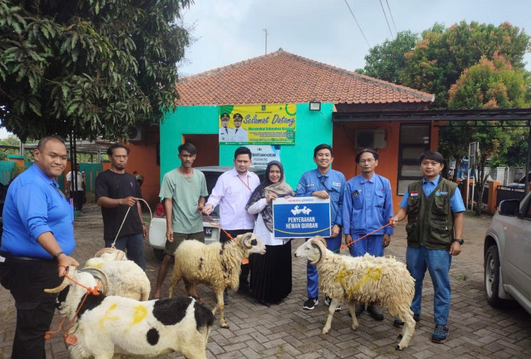Bukan Sekadar Sapi dan Domba, Ini Makna Kemanusiaan di Balik Kurban Iduladha 2025