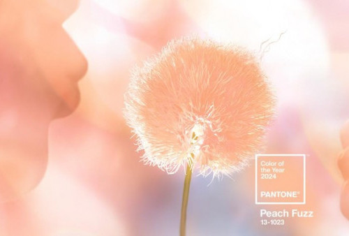 Peach Fuzz Jadi Tren Warna 2024 Versi Pantone, Perpaduan Manis Pink dan Oranye