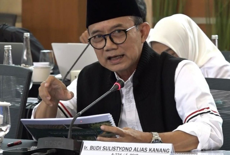 Garuda Indonesia Butuh Formula Efisiensi, Kanang Sarankan Integrasi dengan Pelita Air