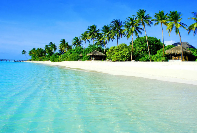 7 Pantai di Jawa Timur yang Wajib Dikunjungi Bersama Keluarga 