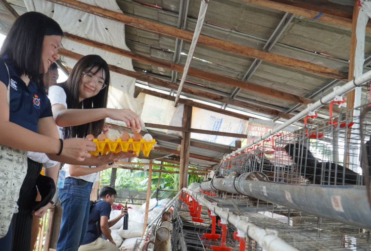 Kolaborasi Mahasiswa PCU dan SUTD Hadirkan Solusi di Gunung Anyar