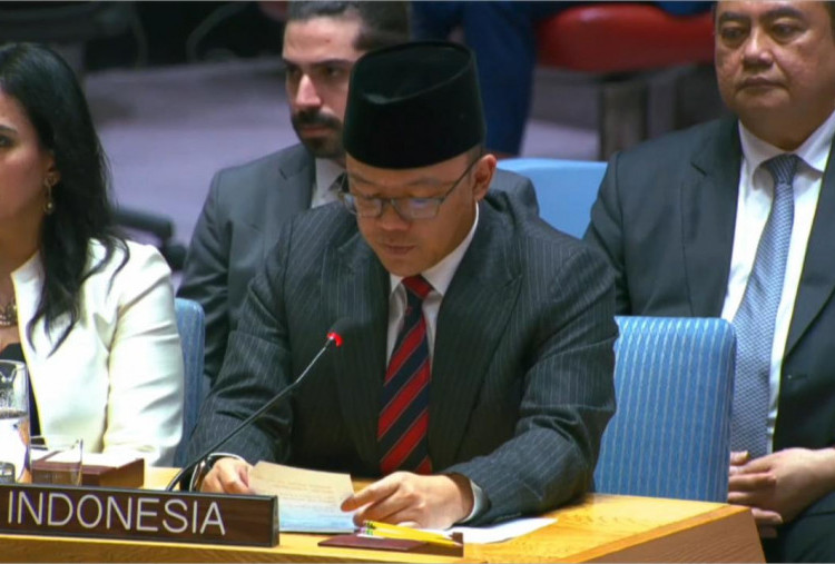 Indonesia Bersuara di Pertemuan DK PBB, Pendudukan Israel di Tepi Barat Hambat Perdamaian