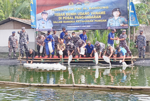 61 Kilometer Pantai Berpotensi Jadi Tambak Udang