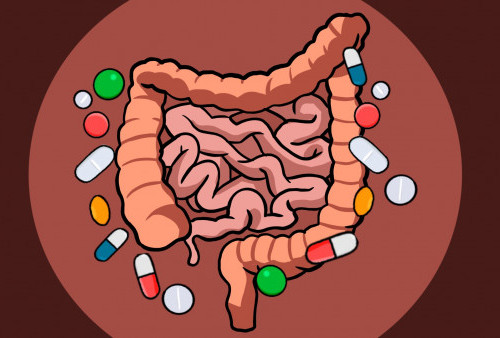 Antibiotik dari Usus Manusia