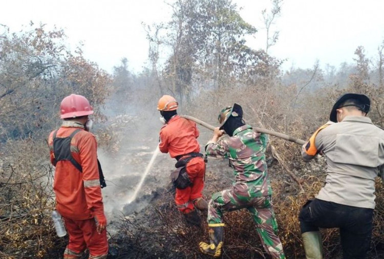 Titik Panas Karhutla Berkurang Jadi 317, Operasi di Daerah Rawan Tetap Diperkuat