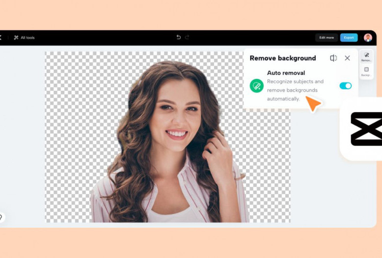 Cara Hapus Background Foto dan Perjelas Gambar Online untuk Hasil Foto Lebih Profesional