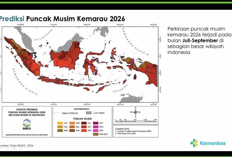 Kemenkes Ungkap Bahaya Asap Karhutla bagi Kesehatan, Bisa Picu ISPA hingga Stroke
