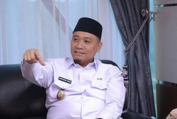 Wujudkan Green City, Pemko Pekanbaru Wajibkan Pengembang Sediakan 30 Persen RTH
