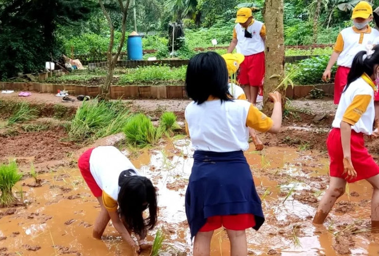 Seru Abis! Ini 5 Rekomendasi Wisata Libur Nataru di Jabodetabek yang Lagi Hits