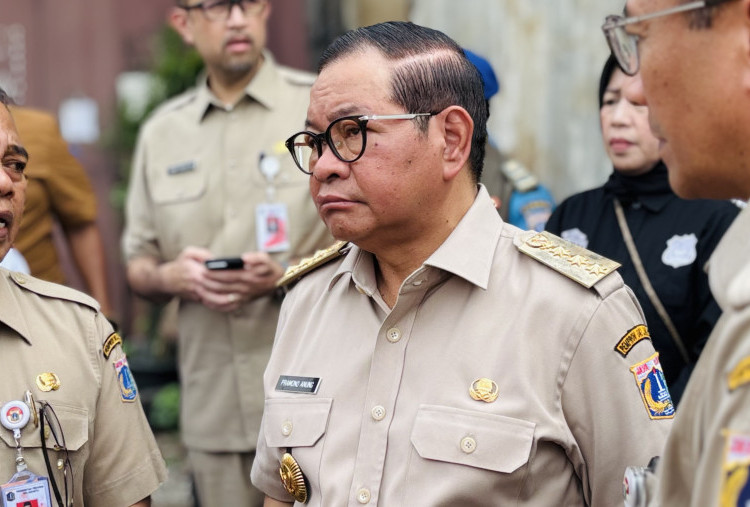 5.000 Pohon 'Maut' di Jakarta Bakal Dipasangi Penyangga, Cegah Tragedi Lexus Pondok Indah Terulang