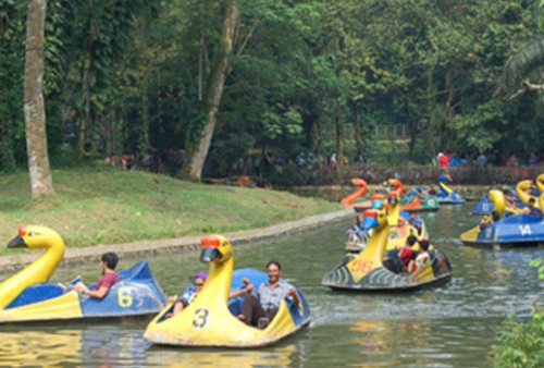 Hari Ini Ragunan dan TMII Tetap Buka Meski Libur Maulid Nabi 16 September 2024