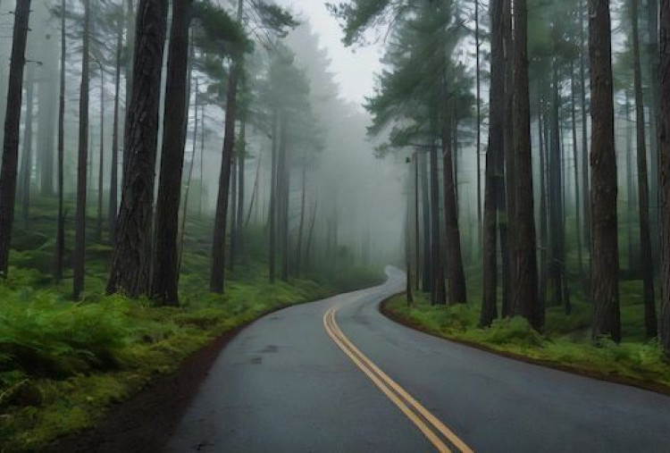 Kabut di Pagi Hari, Apakah Pertanda akan Turun Hujan?