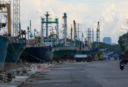 Aktivitas Bongkar Muat di Pelabuhan Kalimas Surabaya