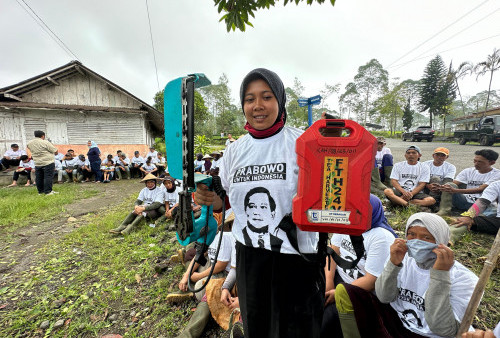 Petani dan Pemetik Teh Tambi Wonosobo Dukung Prabowo-Gibran, Berharap Perbaikan Harga Kebutuhan Pokok 