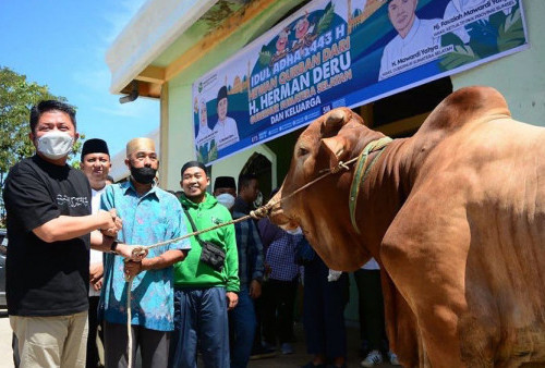 Gubernur: Idul Adha Momen Tepat untuk Berbagi 