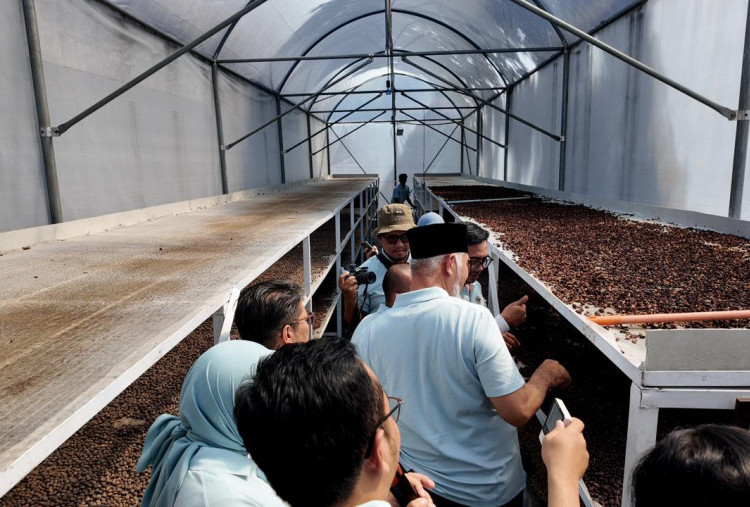 Pertamina Kembangkan Energi Panas Bumi di Luar Kelistrikan untuk Dorong Ekonomi Masyarakat