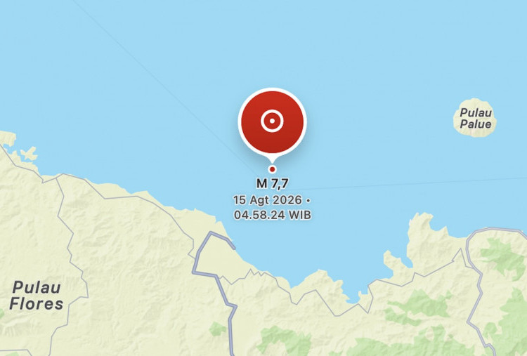 Gempa M 7,7 Guncang Nagekeo NTT, Potensi Tsunami di 4 Provinsi