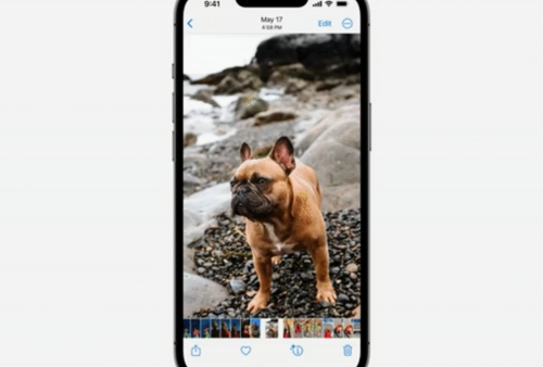 Kecanggihan Kamera iOS 16 Tap-and-Lift, Begini Cara Kerjanya