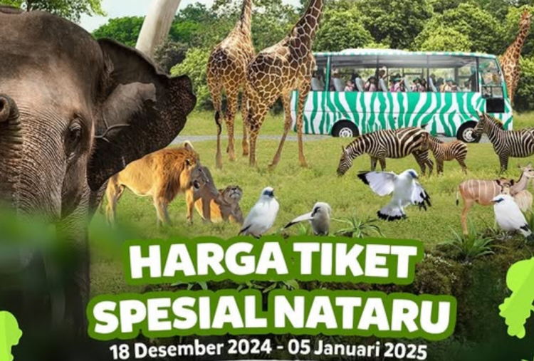 Cek Harga Tiket Masuk Taman Safari Bogor saat Liburan Nataru, Mulai Rp160 Ribu