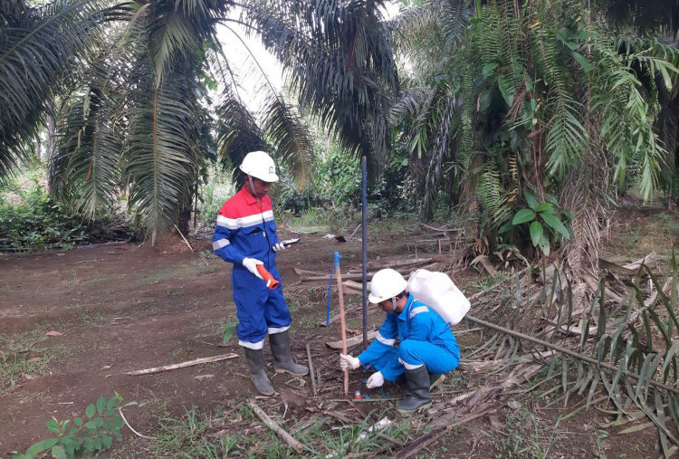 Pertamina EP Mulai Pengembangan Lapangan Bambu Merah Terintegrasi SP Cilamaya Utara