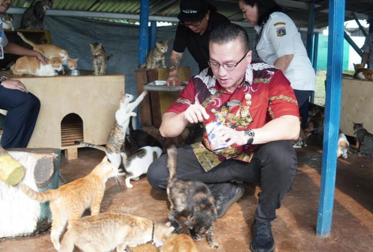 Anggota DPRD DKI Sidak ke Puskeswan Ragunan, Soroti Pemberian Pakan Hewan