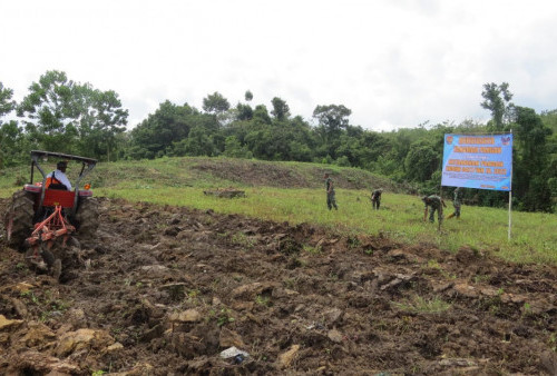 Wujudkan Ketahanan Pangan, Kodim Way Kanan Siapkan 18 Hektar Lahan Pertanian