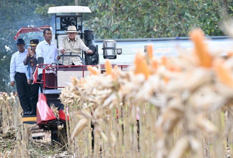 Prabowo: Negara Tidak Akan Bertahan Tanpa Produksi Pangan yang Berkesinambungan