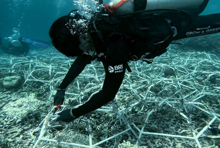 BRI Dukung Pelestarian Laut di Pulau Kapoposang lewat Program Grow & Green