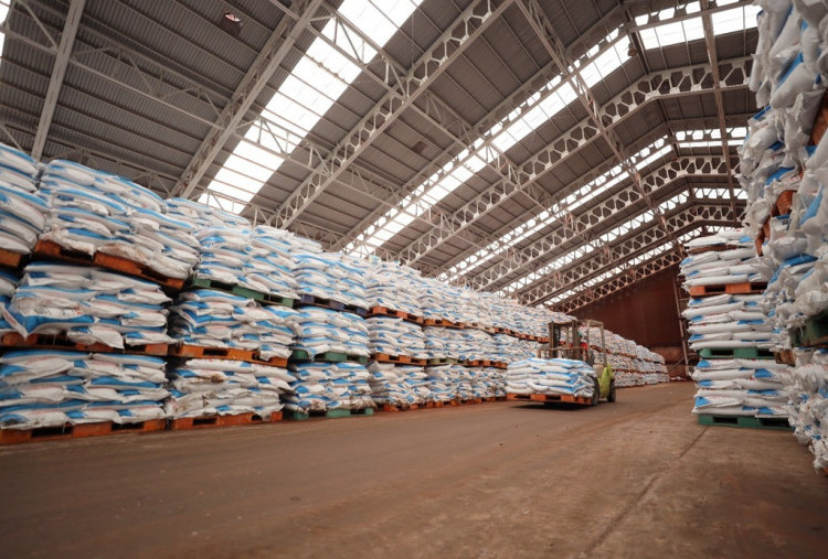 Pupuk Indonesia Masuk Kembali Fortune Southeast Asia 500