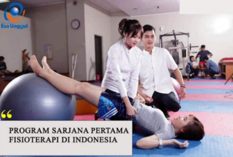 Fakultas Fisioterapi Universitas Esa Unggul, Pelopor Program Studi Fisioterapi di Indonesia