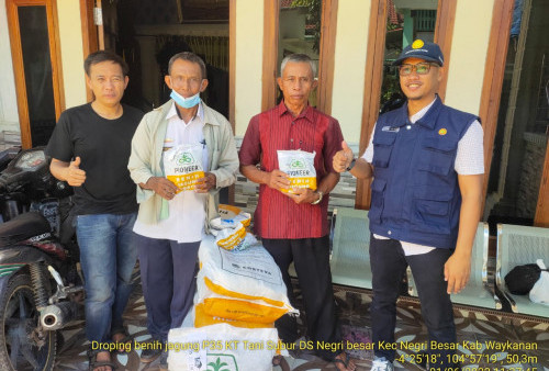 UPTD Pertanian Negeri Besar Distribusikan Bantuan Bibit Jagung ke Kelompok Tani