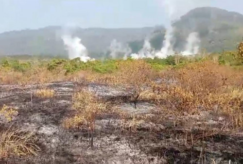 Kebakaran Padang Ilalang di Danau Minyak Suoh Lampung Barat Capai 8 Hektare 